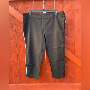 Terra & Sky Pull on  skinny